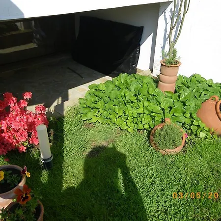 Deskoni's Place Gæstehus